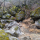 Illustration for article titled San Joaquin River Gorge